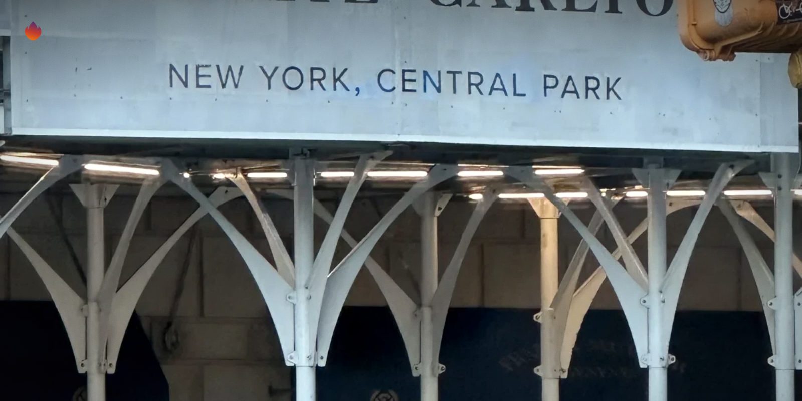 The Ritz-Carlton New York, Central Park entrance photographed during an NYIA assignment