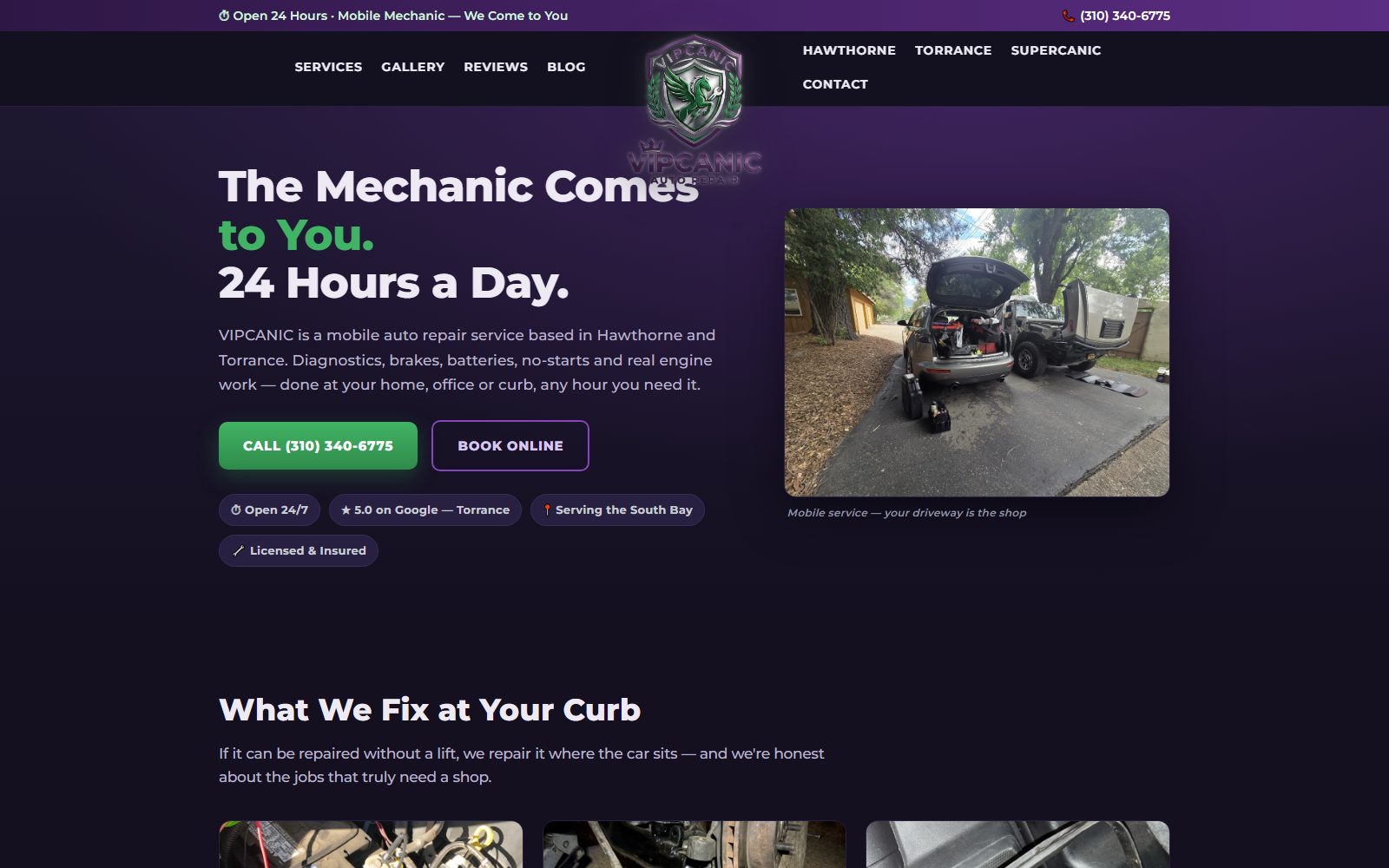 VIPCANIC website
