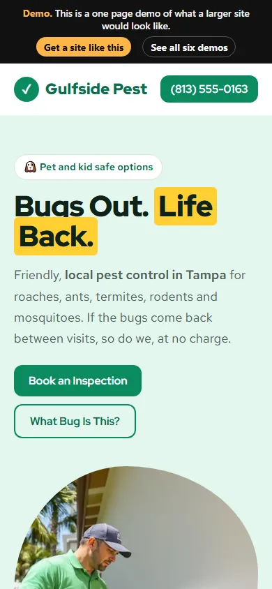Pest Control website design on a phone