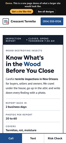 Termite Inspection website design on a phone