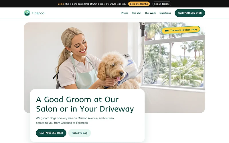 Pet Grooming website design, Suds and Sunshine style, desktop view