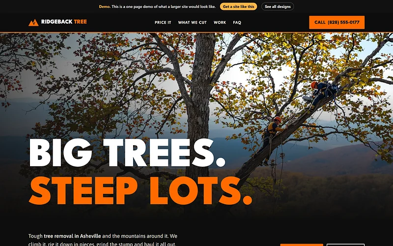 Tree Removal website design, Chainsaw Bold style, desktop view