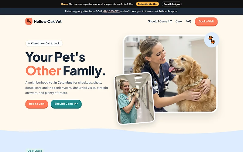 Veterinary Clinic design, Warm and Playful style