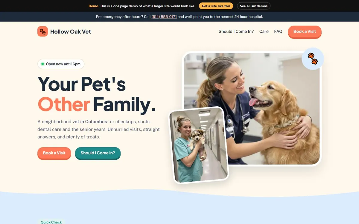 Veterinary Clinic website design, Warm and Playful style, desktop view