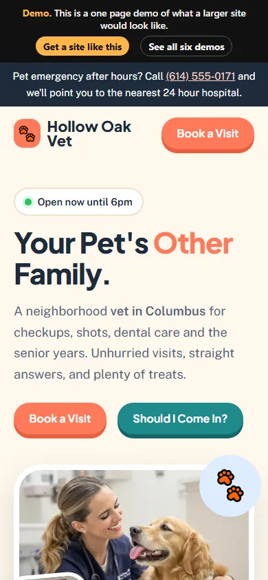 Veterinary Clinic website design on a phone