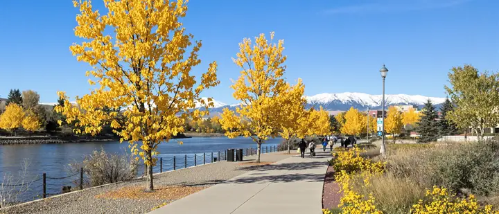 The Truckee River path in Reno in October with yellow cottonwoods