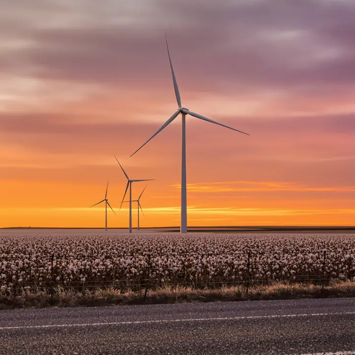Wind turbines over west Texas cotton fields at sunset