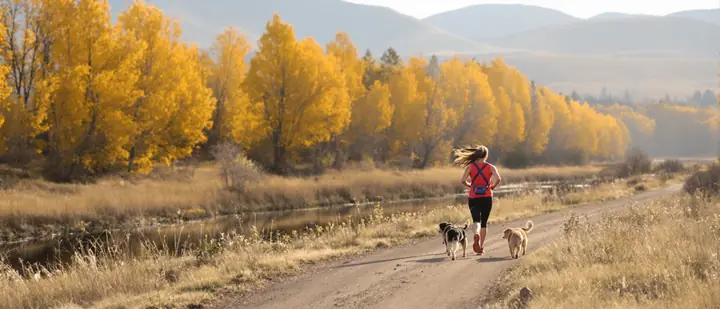 Two dogs running with their owner on a river trail near Fort Collins in fall