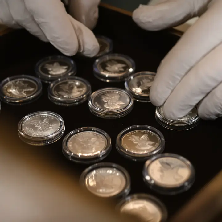 Gloved hands setting one ounce silver coins in capsules on a velvet tray